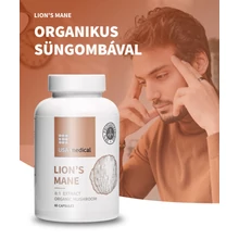 Gyógygombák